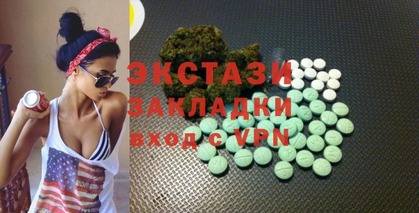 амф Ельня