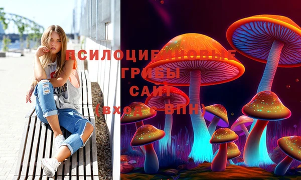 амф Ельня