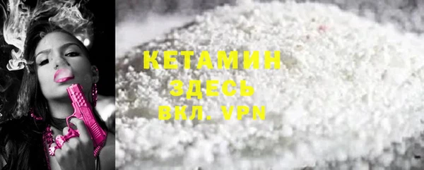 амф Ельня