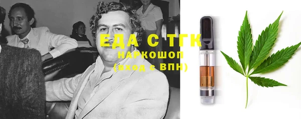 амф Ельня