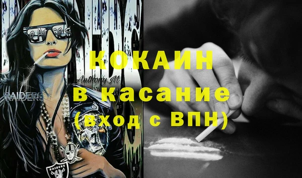 амф Ельня