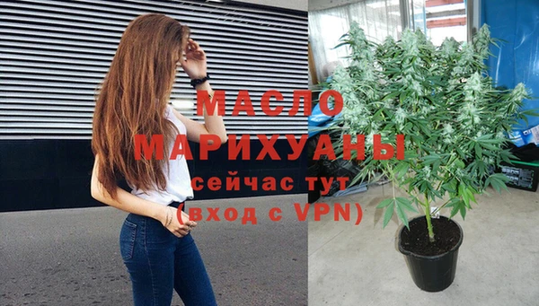 амф Ельня