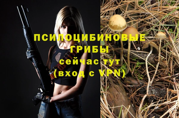 мдма Елабуга