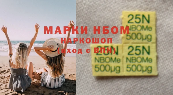 амф Ельня