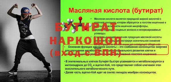 амф Ельня