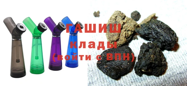 амф Ельня
