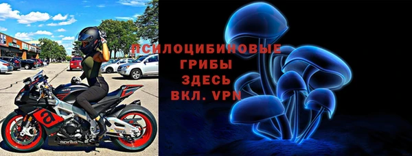 амф Ельня